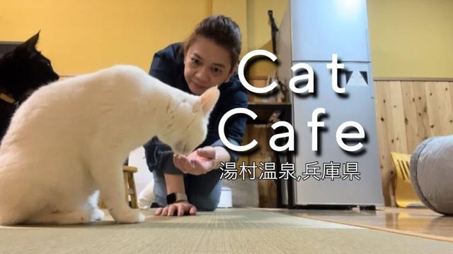 🇯🇵猫カフェ in 湯村温泉,兵庫県/Gie JapanTv