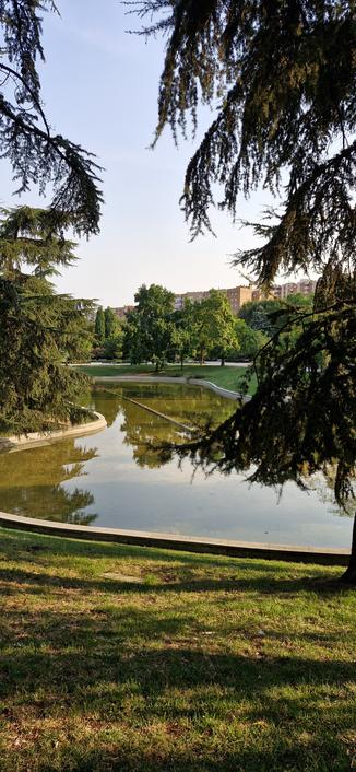 Fotografía en donde en el centro se ve un lago artificial rodeado de árboles y césped, al fondonse distinguen edificios de viviendas.