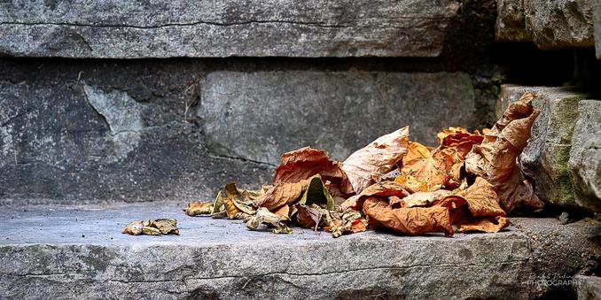 A pile of dry, brown leaves sit at the edge of a stone step adjacent to a stone wall.