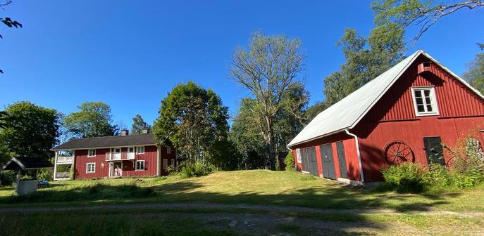 Zwei schwedische Häuser in Falunrot. Ein Wohnhaus und eine Scheune. Darüber blauer Himmel, davor eine grüne Wiese.