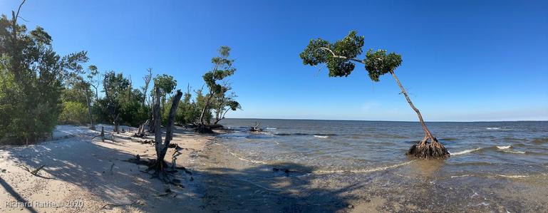 photo by richard rathe