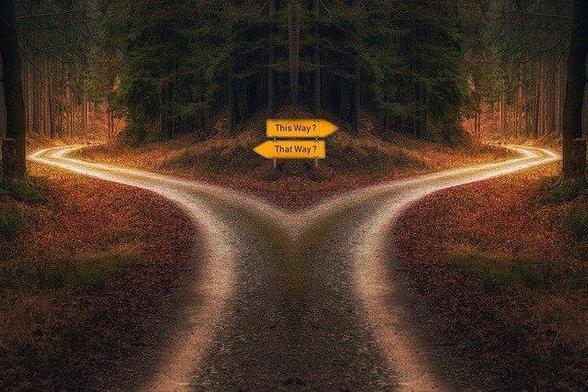 Royalty-free image via Pixabay, showing a forest road fork with two signs pointing each way: "This way?' (right), "That way?" (left). ['strategy' search result image by Pixabay.com user 'PixxlTeufel', original image name; 'decision-5291766_640'.]