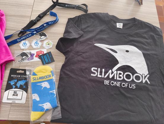 Samarreta, pegatines, clauers i altres cosetes de Slimbook