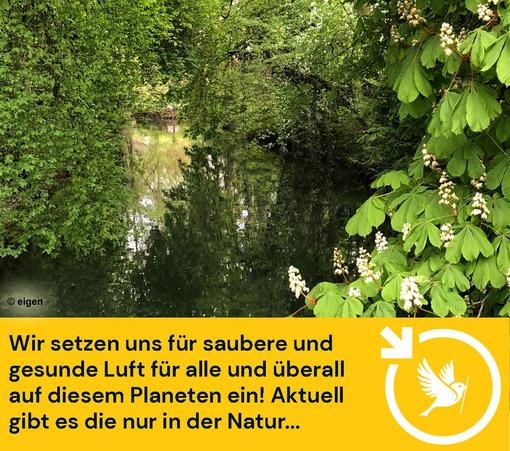 Ein sehr grünes Bild aus einem Park mit vielen Bäumen, die über einen gemächlich fließenden Fluss hängen.
Unter dem Bild der Eintrag "Wir setzen uns für saubere und gesunde Luft für alle und überall auf diesem Planeten ein! Aktuell gibt es die nur in der Natur...
Unten rechts ist unser Logo: der Ulmer Spatz im Pfeilkreis von LocalZero. (Pfeilkreis bedeutet: Ein Kreis, an dessen oberer linken Seite ein Pfeil nach unten weist)