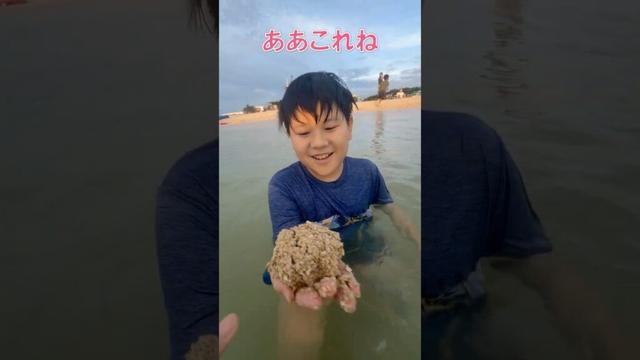 【逃げ場なし】水中に逃げた沖縄最強オヤジ、浮いた瞬間すなぎり直撃w