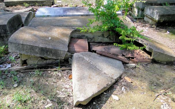 Due to flooding, most surviving burials are in concrete crypts - this one has been broken into