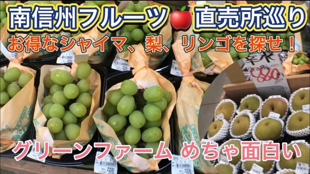 【南信州でフルーツ直売所巡り2025.8.18】 シャインマスカット、梨、リンゴや桃の販売状況を急遽パトロール⁉︎ 長野県にも格安フルーツがあるね 凄いぞ！グリーンファーム 犬OKの人気お蕎麦屋さんも