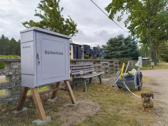Die Bücherkiste ist am Straßenrand aufgestellt. Unter ihren Füßen liegen Pflastersteine zur Stabilisierung. Die Tür der Kiste sowie die Seite mit mit 'Bücherkiste' beschriftet. 
Daneben steht eine Bank und die Briefkästen unserer Siedlung. Effie ist am Handwagen angebunden, in welchem Wasserwaage, Spaten, Eimer und eine alte Decke liegen.