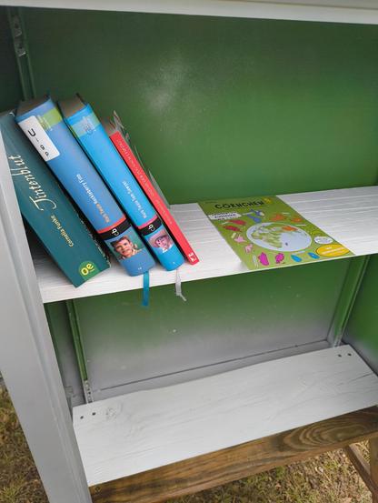 Ein Blick in die Bücherkiste. Auf dem oberen Einlegeboden stehen 4 Bücher: Tintenherz von Cornelia Funke, Tom Sawyer und Huckelberry Finn von Mark Twain sowie Sind Sie der Zug nach Leipzig von Wilfried Sennewald. Daneben liegt die aktuelle Ausgabe der Cörnchen, eine kleine Kinderzeitung von Katapult. 
Der untere Einlegeboden ist noch leer.