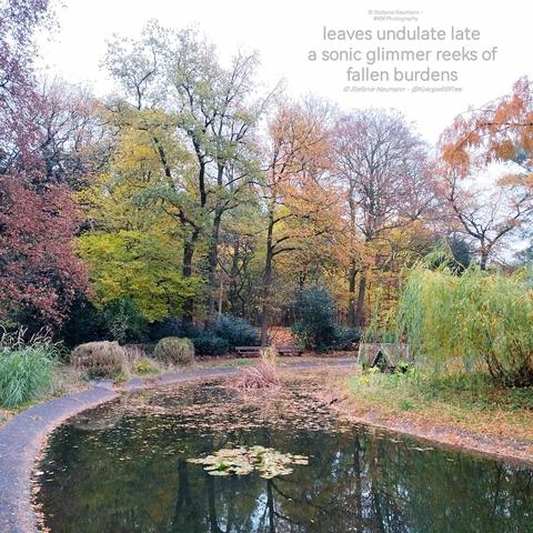 View over a leaf-covered pond in Autumn. The trees wear autumnal colours. Written into the grey sky, a haiku:

leaves undulate late
a sonic glimmer reeks of
fallen burdens

© Stefanie Neumann - @KokopelliBFree
© Stefanie Neumann - #KBFPhotography
