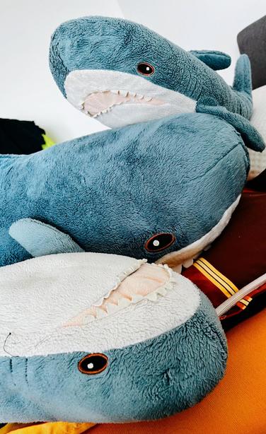 Englidh: Three plush blåhajar, two smolhajar and one big blåhaj, are stacked on a blanket. The sharks are soft, with blue bodies and light-colored undersides, and cute facial expressions.

Deutsch: Drei Plüsch-Blåhajar, zwei Smolhajar und ein großer Blåhaj liegen auf einer Decke. Die Haie sind weich, mit blauen Körpern, hellen Unterseiten und niedlichen Gesichtsausdrücken.