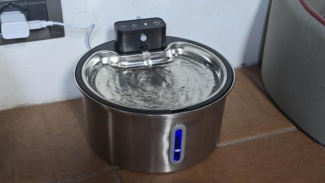 Fontanella per gatti, elettrica e in acciaio