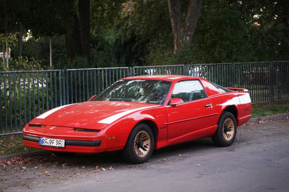 Selbes Bild, anders bearbeitet - Farben/Kontraste etwas übertrieben