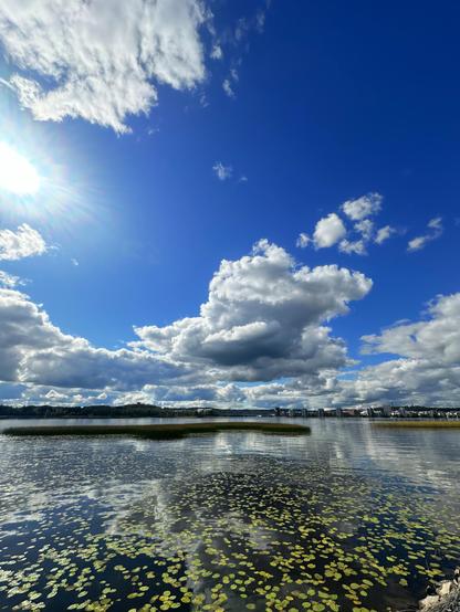 A scenery to the beautiful sunny Jyväsjärvi lake