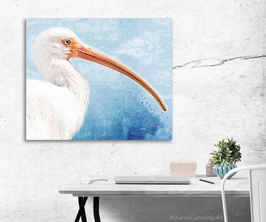Beautiful white ibis on muted blue watercolor by artist Sharon Cummings.  Set in a decor/office setting.