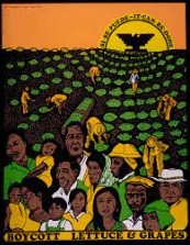 UFW poster showing vast field of lettuce, with farm workers. In the background, the setting sun of the yellow UFW logo, with a black eagle and the slogan, Se se puede. In the foreground, more workers and the caption: Boycott lettuce and grapes.