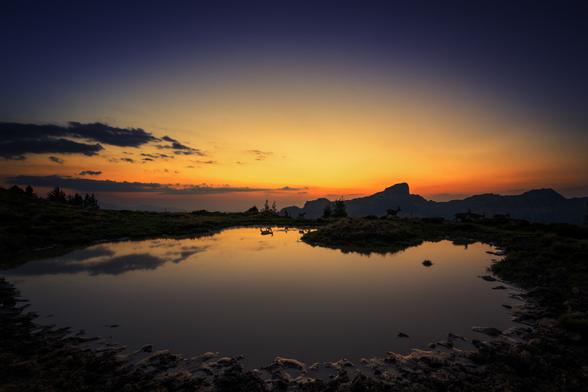 Ein Bergsee in der Dämmerung, der die Farben des Sonnenuntergangs widerspiegelt. Die Himmelsfarben verlaufen von einem tiefen Blau am oberen Rand zu einem kräftigen Orange-Gelb am Horizont. Am anderen Ufer des Teichs sind Silhouetten von Steinböcken zu erkennen. Im Hintergrund erheben sich die dunklen Umrisse von Bergen, die sich gegen den farbigen Himmel abzeichnen.