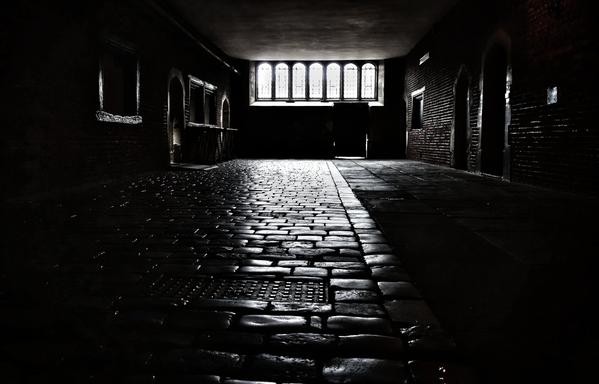 A dimly lit, atmospheric photograph of a corridor with a floor of polished cobblestones. The stones gleam, reflecting the light from a series of tall, arched windows at the far end of the hall. The light creates a striking, reflective path leading away from the viewer. The walls are made of dark red brick, with arched doorways visible along both sides, fading into deep shadow. The overall mood is dark and moody, evoking a sense of history or mystery.