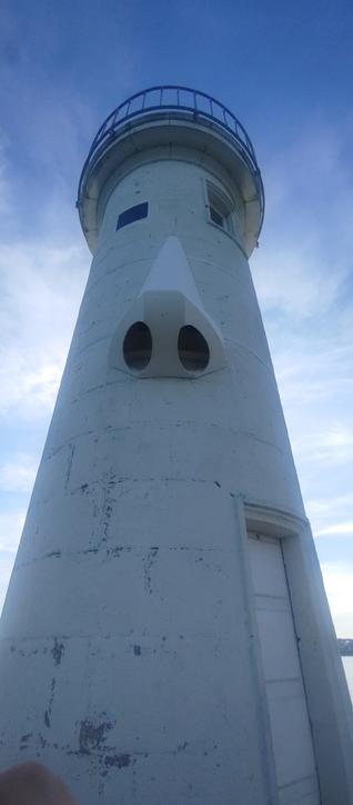 Primer plano de la nariz de Raoulic.