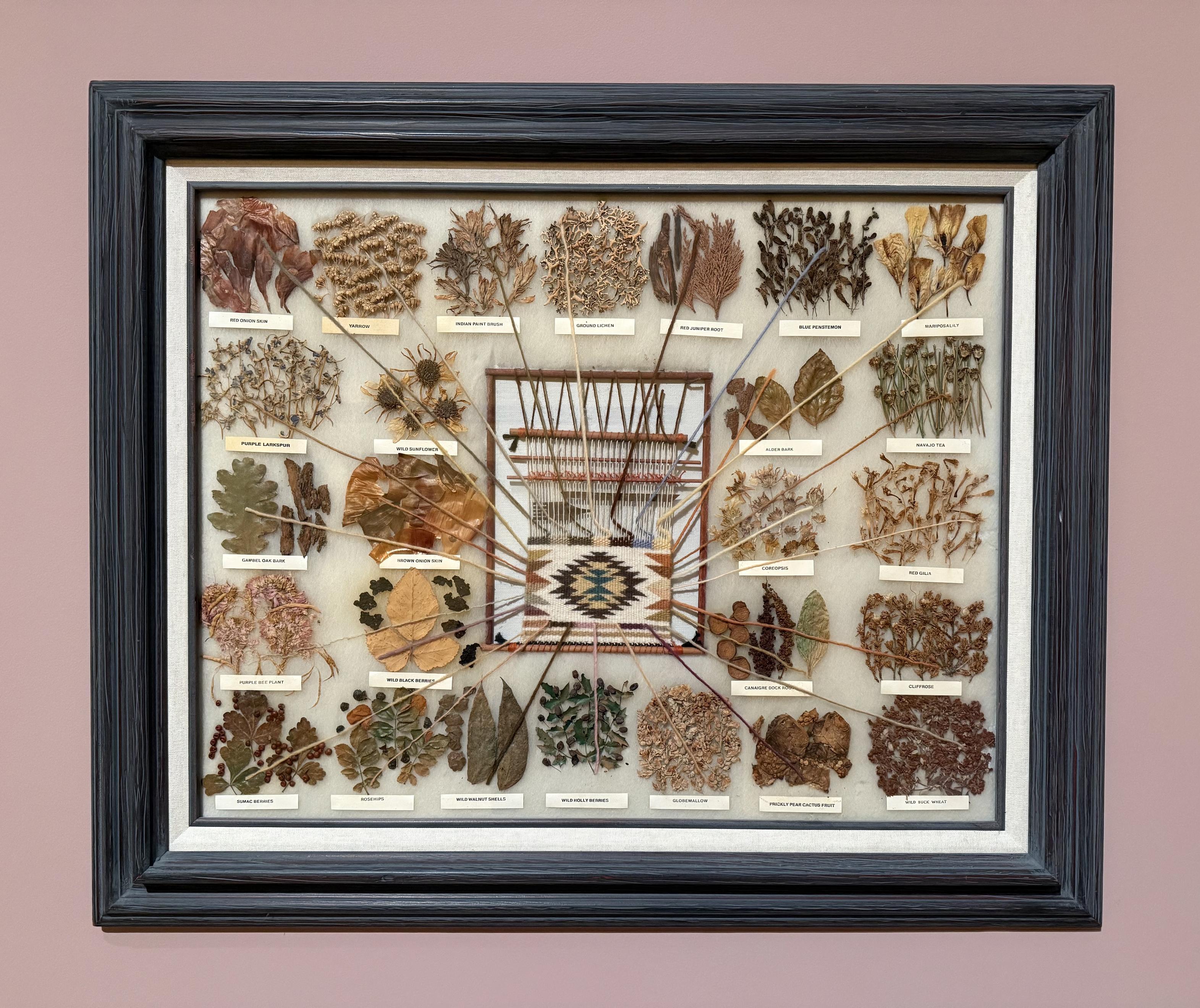 A framed display featuring a small woven design in the center, with colored strands outstretched in all directions. On the other end of the strands, samples of the materials used to produce the colored dyes are mounted. The materials and labels are: RED ONION SKIN YARROW INDIAN PAINT BRUSH GROUND LICHEN RED JUNIPER ROOT BLUE PENSTEMON MARIPOSALILY PURPLE LARKSPUR WILD SUNFLOWER GAMBEL OAK BARK BROWN ONION SKIN RED GILIA PURPLE BEE PLANT WILD BLACK BERRIES CANAIGRE DOCK ROOT CLIFFROSE SUMAC BERRIES ROSEHIPS WILD WALNUT SHELLS WILD HOLLY BERRIES WILD BUCK WHEAT PRICKLY PEAR CACTUS FRUIT