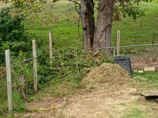 The image depicts a backyard with  wooden fence posts in the foreground, with a chain link fence behind them. In front of the fence, there is a pile of cut grass and branches, indicating recent yard work. A large tree with a thick trunk is visible, with its branches extending over the fence. In the background, a grassy field stretches out, suggesting a spacious, open area. A black compost bin is positioned near the pile of yard waste, and a lost of wooden debris is visible on the right side of the image. The overall setting appears to be a backyard, with a mix of greenery and dry patches of grass.