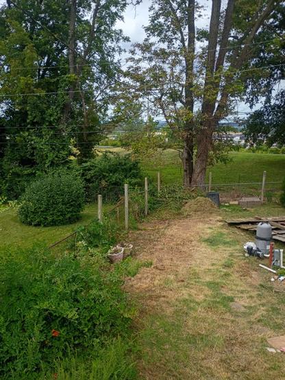 The image depicts a backyard scene with a mix of natural and man-made elements. In the foreground, there is a grassy area with patches of dry, brown grass, indicating recent mowing or natural wear. Wooden fence posts stand before a chain link fence that encloses the area, with a pile yard waste visible near the fence. To the left, a bush with dense green foliage and some red flowers adds color to the scene. A large tree with a thick trunk and spreading branches stands prominently in the center, providing shade and a natural backdrop. In the background, a grassy field extends towards a distant view of a building, with power lines running across the sky. The sky is overcast, suggesting a cloudy day. Various gardening tools and materials, such as a propane tank and a hose, are scattered on the ground, indicating ongoing or recent gardening activities.
