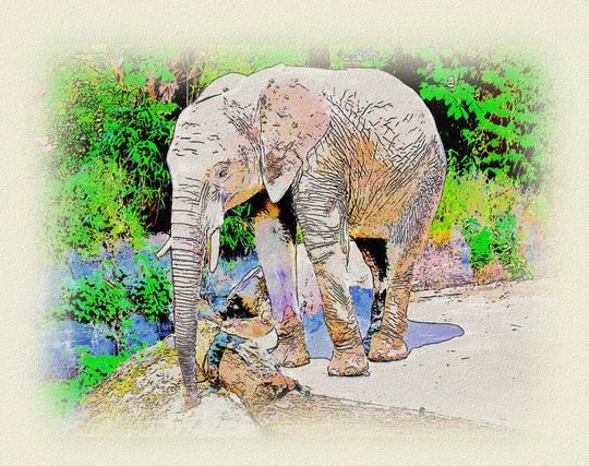 Bearbeites Foto das nun aussieht wie eine Zeichnung: Ein Elefant vor grünem Hintergrund.

Edited photo that now looks like a drawing: An elephant in front of a green background.