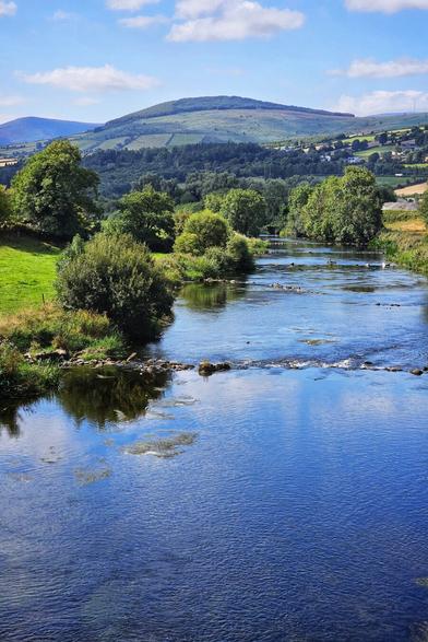 A scenic, vertical photograph of the River Slaney flowing near Kildavin, County Carlow. The river, a deep blue, meanders through a valley of lush green fields and scattered trees under a blue sky with white clouds. Rolling hills and mountains form a distant backdrop, with reflections of the sky and greenery visible on the water's surface.