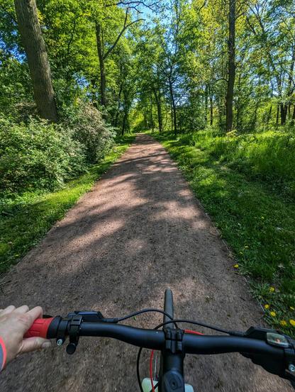 A first-person perspective shot from a bicycle handlebar of a person riding down a sun-dappled, gravel path through a lush green forest. The path curves gently ahead, lined on both sides by tall trees and dense undergrowth. The sunlight filters through the canopy, creating patches of light and shadow on the path. The rider's left hand is visible on the red handlebar grip. The handlebars and front wheel of the bicycle are in the foreground, with the leafy, vibrant forest receding into the distance under a bright blue sky.