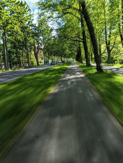 A dynamic, first-person motion blur shot from a moving bicycle on a dedicated cycle path. The path, which is smooth and grey, stretches straight ahead, bordered on the right by a row of tall, leafy trees whose foliage forms a green canopy overhead. To the left of the path, separated by a thin strip of grass, is a parallel asphalt road with a car visible in the distance. The motion blur effect gives a sense of speed, with the grass and the path appearing as long, streaking lines. The sun is shining, casting dappled shadows on the path.