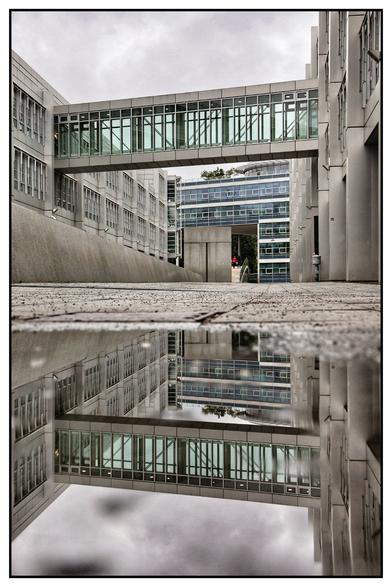 Das Bild zeigt eine moderne städtische Architektur, bestehend aus mehreren Gebäuden, die durch verglaste Brücken miteinander verbunden sind. Die Fassaden der Bauwerke bestehen überwiegend aus Beton und großen Glasflächen, wodurch ein klarer, geometrischer Eindruck entsteht. Im Vordergrund befindet sich eine Wasserpfütze auf dem Boden, die eine spiegelnde Oberfläche bildet. In dieser Spiegelung sind die Gebäude und Brücken deutlich erkennbar, was dem Bild eine visuelle Symmetrie verleiht. Der Himmel ist bewölkt, wodurch die Szene in gedämpftem Licht erscheint und eine ruhige, fast melancholische Atmosphäre entsteht. Im Hintergrund ist eine einzelne Person in auffällig roter Kleidung zu sehen, die einen farblichen Kontrast zur ansonsten grauen Umgebung bildet.