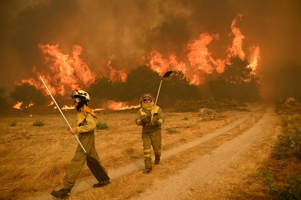 Inwoners proberen een bosbrand te bestrijden in het dorp Santa Baia de Montes in de provincie Ourense, in het noordwesten van Spanje, op 14 augustus 2025.
— MIGUEL RIOPA / AFP