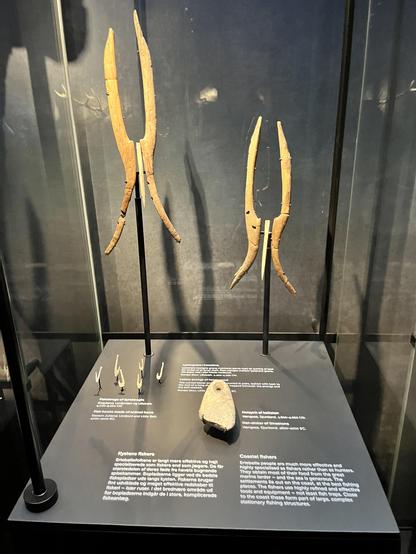 Die Vitrine zeigt Fischereiwerkzeuge der Ertebølle-Kultur