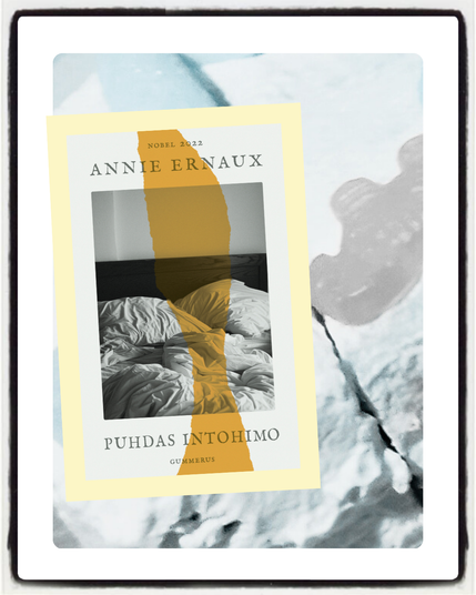 Kirjan kansikuva ja pala kakkua