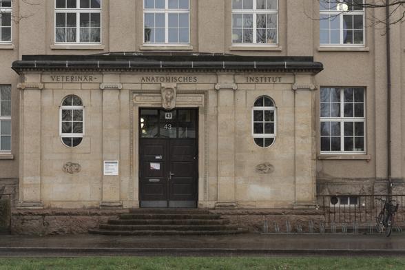 DE: Frontansicht des Eingangs des Veterinär-Anatomischen Instituts der Universität Leipzig. Ein graugelber Steinbau mit hoher dunkelbrauner Holztür in der Mitte, links und rechts je ein langgezogenes Fenster, oben und unten rund. Das eigentliche Gebäude hat rechteckige Fenster mit ebenfalls weißen Verstrebungen. Vor dem Eingang steht rechts studententypisch ein Fahrrad.

EN: Front view of the entrance to the Veterinary Anatomical Institute at Leipzig University. A grey-yellow stone building with a tall dark brown wooden door in the centre, a long window on the left and right, rounded at the top and bottom. The actual building has rectangular windows with white struts. In front of the entrance, there is a bicycle on the right, typical of students.