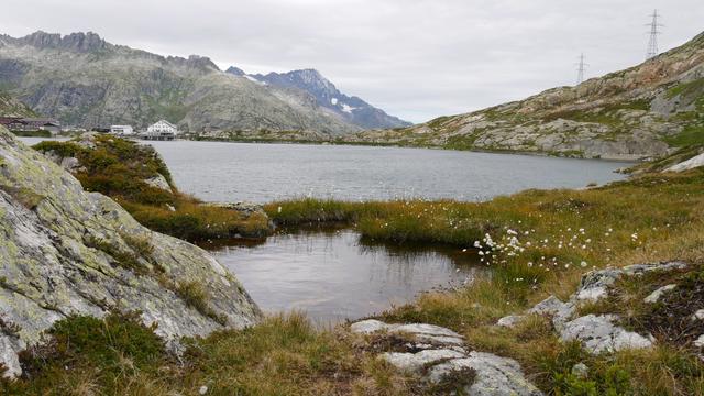 Bergsee mit Wiese und Fels im Vordergrund