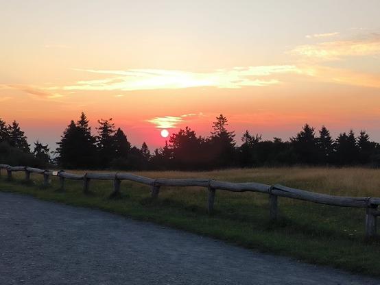 Sonnenaufgang, tiefstehenden Sonn über einer Baumreihe