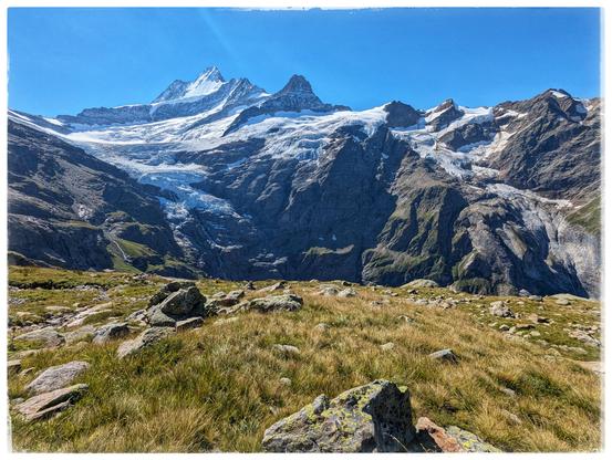 View across an alpine meadow, to some mountains, partly covered with glaciers.