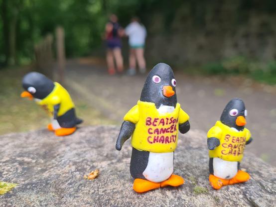Small model penguins taking part in a charity walk.