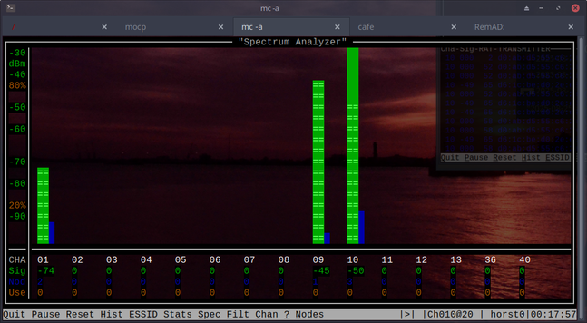 The image shows a computer screen displaying a spectrum analyzer software interface. The main part of the screen features a graphical representation of signal strength, with vertical bars indicating the intensity of signals across different channels. The left side of the screen shows a vertical scale labeled "dBm" ranging from -30 to -90, and a horizontal scale labeled "CHA" from 01 to 40, with some channels highlighted in green, indicating active signals. The background of the screen displays a sunset over a body of water, adding a serene visual element to the technical interface. At the bottom of the screen, there are several buttons and text fields, including "Quit," "Pause," "Reset," "Hist," "ESSID," "Stats," "Spec," "Filt," "Chan," "2 Nodes," and a timestamp "horst00:01:17:57." In the top right corner, there is a smaller window with additional data, labeled "Lin-SDY-RAI-TRANSMITTER," showing numerical values. The overall layout is typical of software used for network analysis or monitoring, with a focus on spectrum analysis.