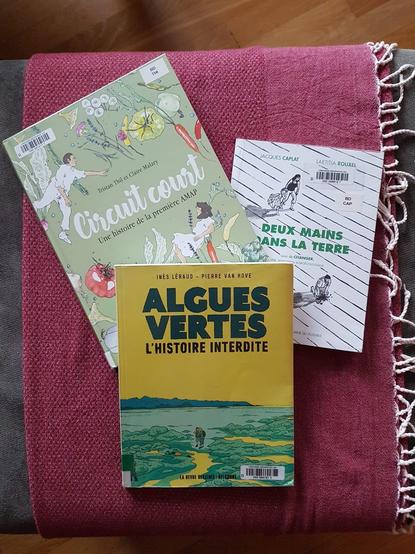 Couvertures de 3 bandes dessinées:
- Algues vertes
- Circuit court
- Deux mains dans la tête