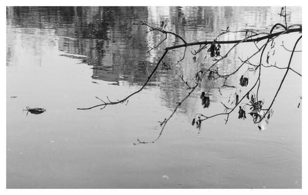 Black and white photograph in landscape orientation. A branch with (almost) no leaves in front of a lake. On can make out the reflection of a building in the lake's surface.