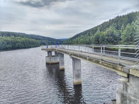 Steg in die Talsperre Falkenstein. Links und rechts bewaldete Hügel.