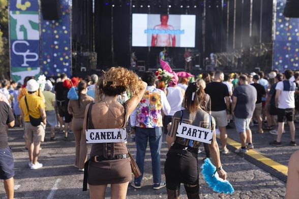 Parte del público durante la actuación de la banda El Diablo de Shanghai, este sábado en el festival Canela Party en el que se insta al público venir disfrazado. (EFE/Carlos Díaz.)