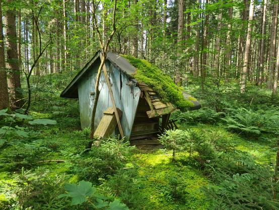 Wie die Pfaffenwinkler Bayern leben. Ein US-Präsident meinte, die Einwohner von Wien leben in einer Waldstadt. Bayerns Ureinwohner leben in Hütten im Wald. #Pfaffenwinkel  #Bayern #Hütte  #photographie #Wald #grün #Montag 

How the Pfaffenwinkler Bavarian live: As a US President said, the residents of Vienna live in a forest city. Bavarian natives live in huts in the forest. #pfaffenwinkel #bayern #hut #photography #forest #green #monday