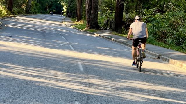 A cyclist on a two-lane paved road that is surrounded by trees and other vegetation.