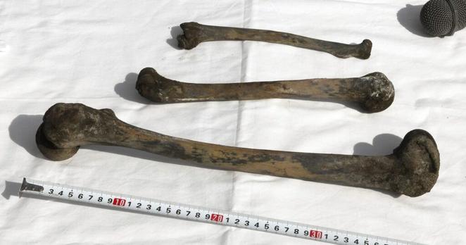 山口・長生炭鉱で骨とみられる3本を回収　山口県警が鑑定へ　沖縄出身5人含む183人が犠牲 - 琉球新報デジタル