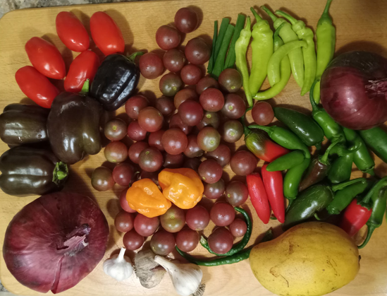 photo of many vegetables displayed on a cutting board from above - clockwise from top left: roma tomato, black cherry tomato, spring onion, banana pepper, red onion, jalapeno pepper, some kind of mango, serrano pepper, garlic bulbs, another red onion, purple bell peppers, and habanero peppers center