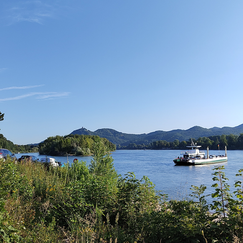 Sträucher und Bäume am Fähranleger Rolandseck, im Hintergrund die ankommende Fähre auf dem Rhein und das Siebengebirge an einem sonnigen Morgen.