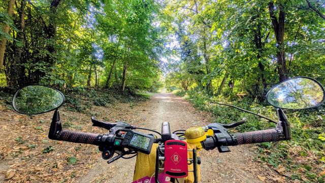 Photo, une route dans une forêt. De part et d'autres de grands arbres au feuillage vert.

Au premier plan, un guidon de vélo avec deux rétroviseur au bout.